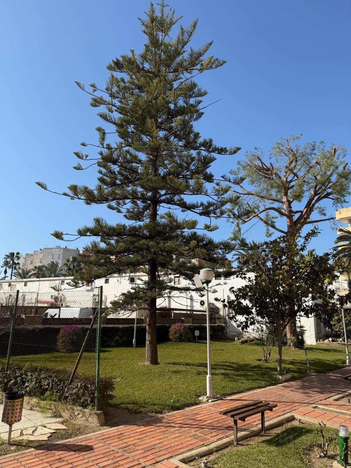 Apartamentos Hesperia / Alfonso I Palmyra Salou Exterior foto