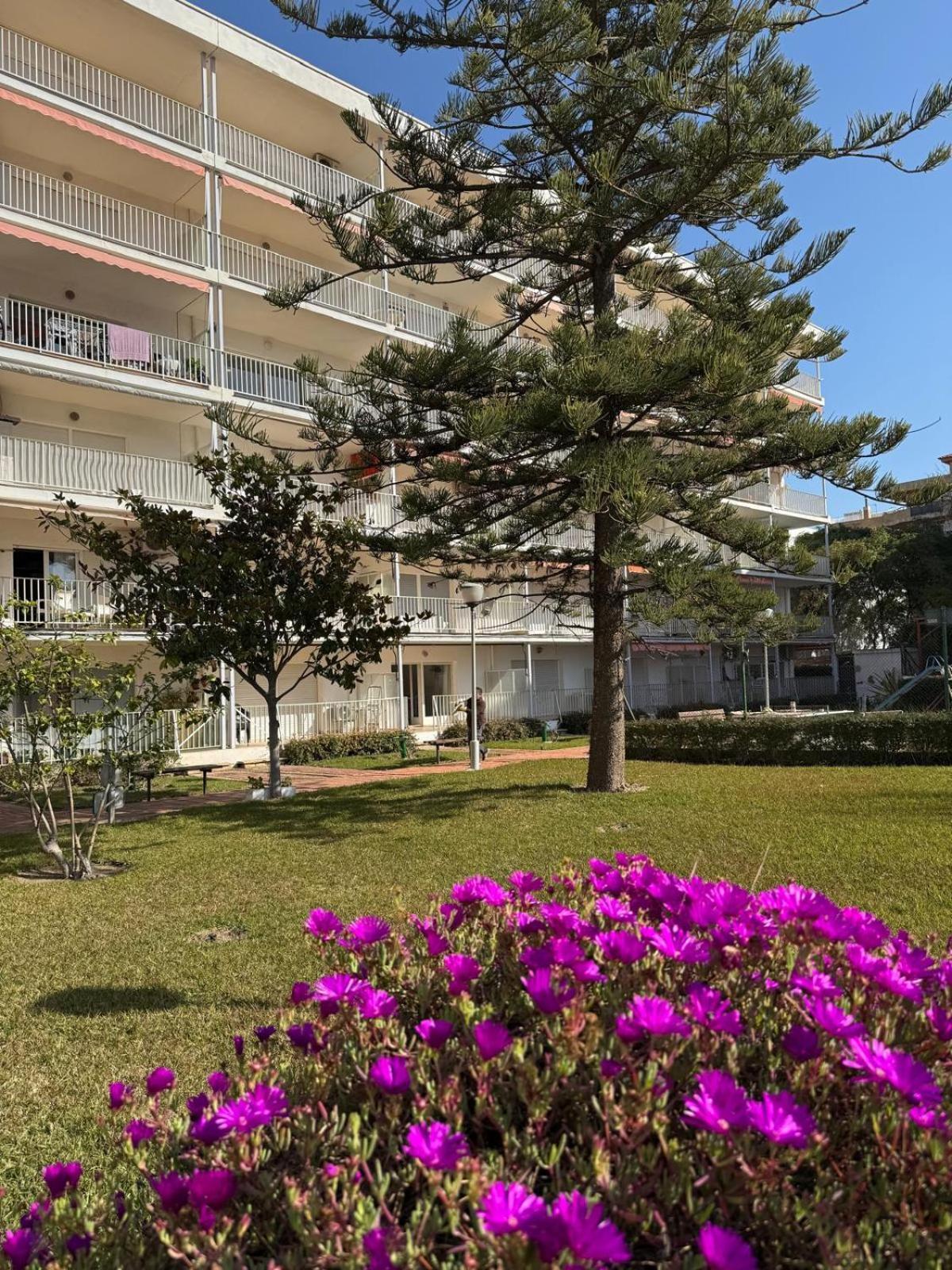 Apartamentos Hesperia / Alfonso I Palmyra Salou Exterior foto